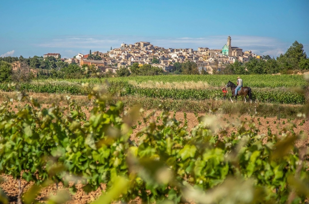 Historia, naturaleza y vino: Conca de Barberà