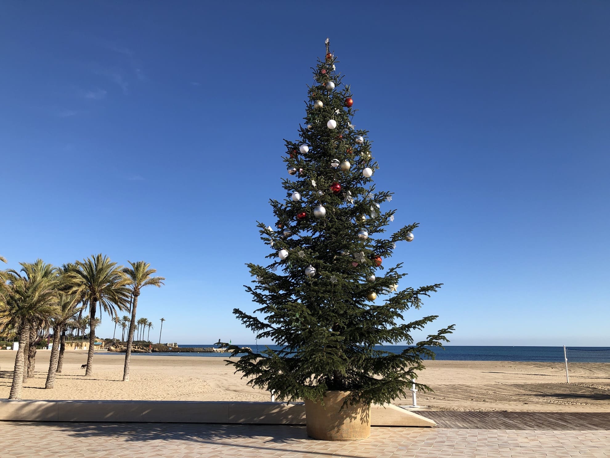 Alojamientos en Tarragona y Salou para disfrutar de la Navidad